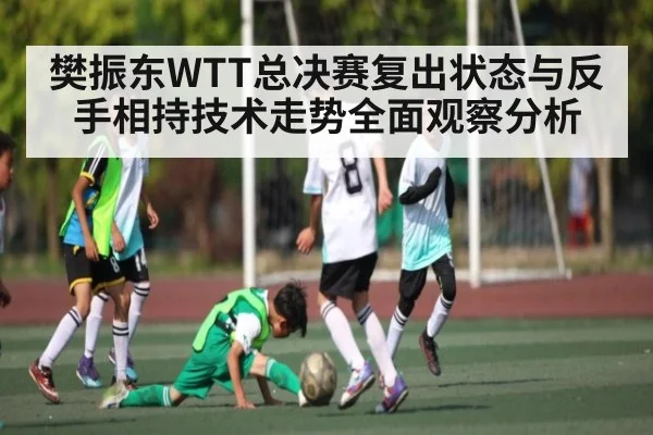 樊振东WTT总决赛复出状态与反手相持技术走势全面观察分析